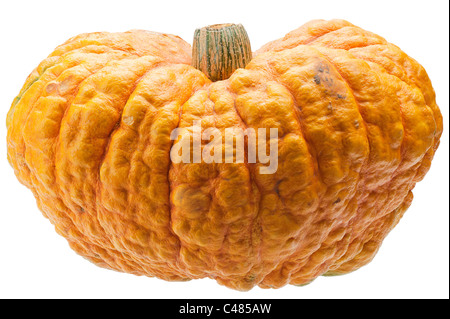 Orange citrouille isolé sur fond blanc. Banque D'Images