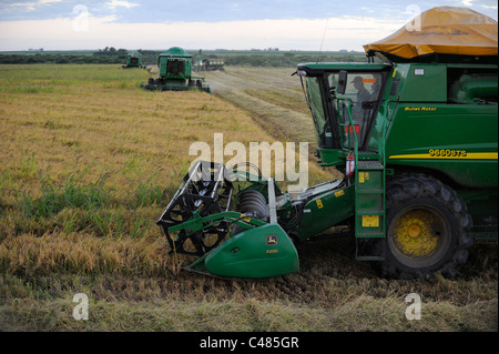 L'URUGUAY Bella Uniòn , 2100 hectares ferme près de fleuve Uruguay, la récolte de riz avec une moissonneuse-batteuse John Deere Banque D'Images