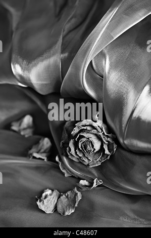 Vintage background : Sec rose sur satin. Image en noir et blanc, profondeur de champ Banque D'Images