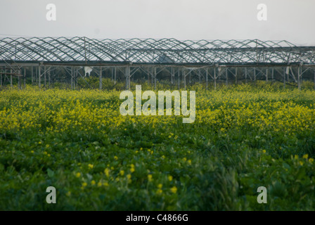 Tel Aviv est un beta + world city, aux côtés de villes comme Barcelone et San Francisco.[9] connu sous le nom de 'La Ville Qui Ne Dort Jamais", Banque D'Images