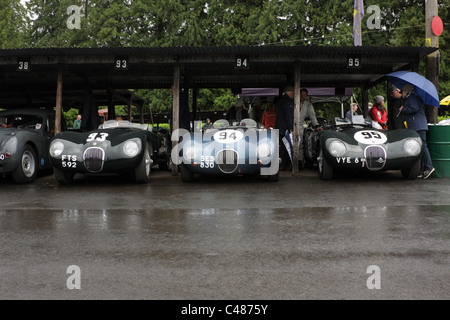 Trois course C Type Jaguars à Shelsley Walsh Hill Climb pendant l'anniversaire de Jaguar, en juin 2011. Banque D'Images