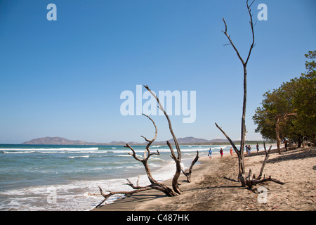 Plage de Tamarindo, Playa Tamarindo, Péninsule de Nicoya, Costa Rica Banque D'Images