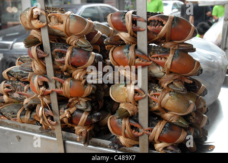 Les crabes, Chinatown Bangkok Thailande Asie Banque D'Images