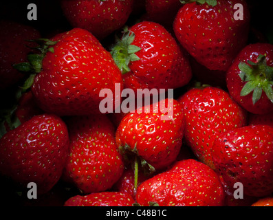 Grand groupe de fraises fraîches Banque D'Images