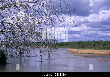 Lakescape à Selous, Tanzanie Banque D'Images