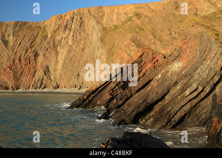 Falaises de Hartland Quay, montrant les strates de roche, North Devon, England, UK Banque D'Images