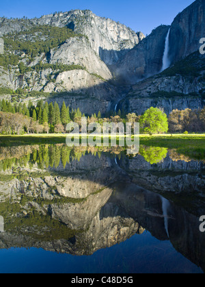 Matin voir de la partie supérieure et inférieure de Yosemite falls reflétée dans l'Étangs de printemps Banque D'Images