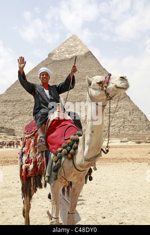 Camel et rider en face de la pyramide de Khéphren (Khafré), à les pyramides de Gizeh, Le Caire, Egypte Banque D'Images