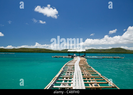 Jetée de Kazu Pearls pearl farm. Vendredi, l'île îles du détroit de Torres, Queensland, Australie Banque D'Images