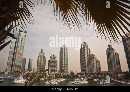 La Marina de Dubaï ÉMIRATS ARABES UNIS Emirats Arabes Unis Moyen-orient Banque D'Images