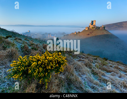 Château de Corfe, Dorset sur un matin brumeux Banque D'Images