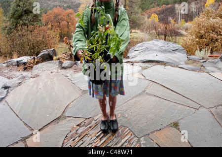 Les eaux d'une fille un plant de tomate sous la pluie sur un patio dallé en dehors de sa maison du Colorado à l'automne. Banque D'Images