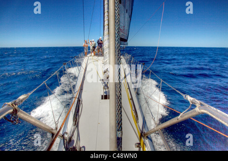 À bord d'Alfa Romeo au cours d'un essai voile à Sydney, en Australie, en vue de la Rolex Sydney to Hobart 2009. Banque D'Images