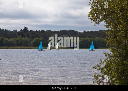 Grand Frensham Great Pond. Churt, près de Farnham, Surrey. United Kingdom. Banque D'Images