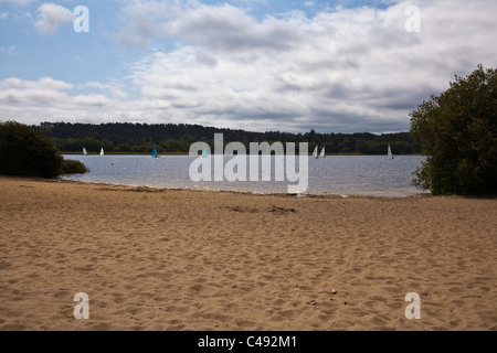 Grand Frensham Great Pond. Churt, près de Farnham, Surrey. United Kingdom. Banque D'Images