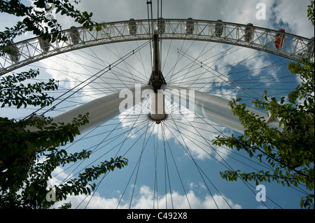 London Eye, ou roue du millénaire à Jubilee Gardens, sur la rive sud de la Tamise. Banque D'Images