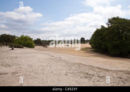 Grand Frensham Great Pond. Churt, près de Farnham, Surrey. United Kingdom. Banque D'Images