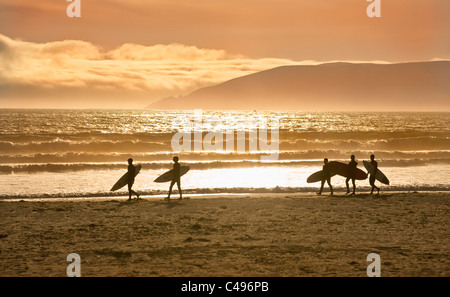 Cinq balades avec des planches de surf sur la plage, à Pismo Beach, Californie, USA Banque D'Images