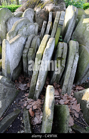 Pierres tombales ou pierres tombales autour de l'arbre rustique, cimetière de St Pancras, Camden Road, Camden London England UK Banque D'Images