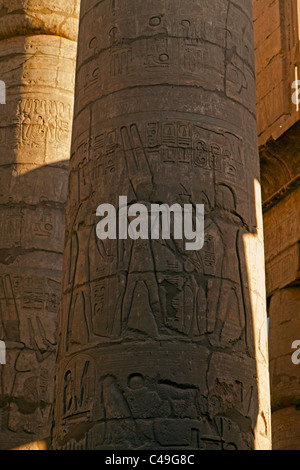 Les colonnes de la salle hypostyle du Temple de Karnak. Les colonnes sont décorées de sculptures de scènes cultes. Banque D'Images