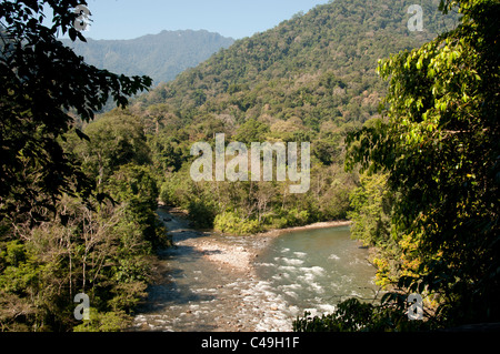 Hélas, la rivière Ketambe, parc national de Gunung Leuser, nord de Sumatra, Indonésie Banque D'Images