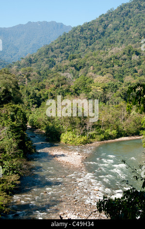 Hélas, la rivière Ketambe, parc national de Gunung Leuser, nord de Sumatra, Indonésie Banque D'Images