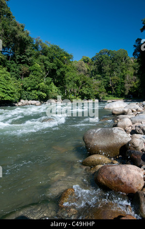 Hélas la rivière à Ketambe, parc national de Gunung Leuser, nord de Sumatra, Indonésie Banque D'Images