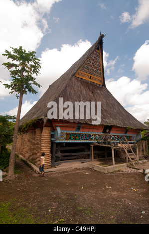 Maison traditionnelle dans village Batak Lingga, près de Berastagi, Sumatra, Indonésie Banque D'Images