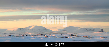 L'Orkney panorama hivernal avec l'île de Hoy à distance Banque D'Images