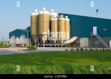 De grands silos en plusieurs tailles sur une ferme hollandaise Banque D'Images