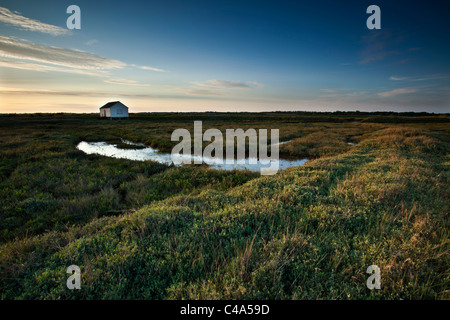 Lion, Quai Canewdon, Essex Banque D'Images