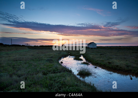 Lion, Quai Canewdon, Essex Banque D'Images