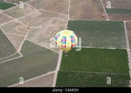 VUE AÉRIENNE.Montgolfière au-dessus des vignobles et des vergers d'orangers.Temecula, Comté de Riverside, Californie, États-Unis. Banque D'Images