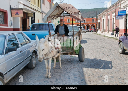 Un homme dans un chariot tiré par un âne vend ses produits sur une rue pavée en plein cœur de Mascota, au Mexique. Banque D'Images