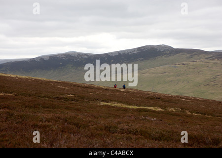 Les promeneurs sur les pentes d'un Socach Chrionaidh avec Carn et les pentes du BCEI Aosda dans les Cairngorms en arrière-plan Banque D'Images