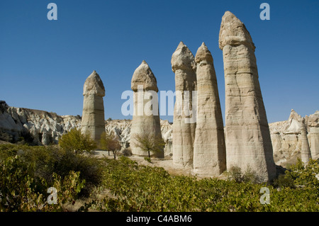 Photographie de l'Kapadokya piliers en Turquie Banque D'Images