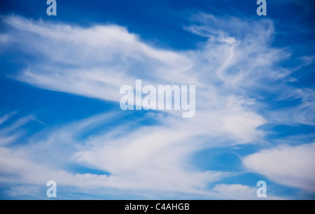 Les Cirrus fins magnifiquement réparti sur un ciel juste au Wyoming, États-Unis. Apporte une détente naturel image abstraite. Banque D'Images