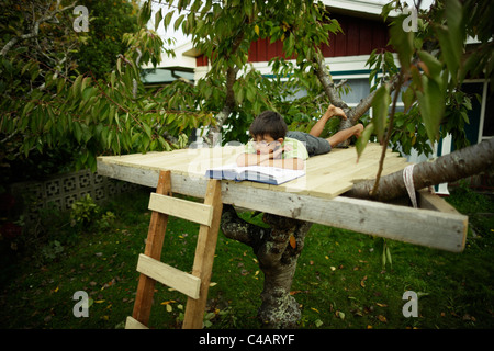 Boy reading book in treehouse. Banque D'Images