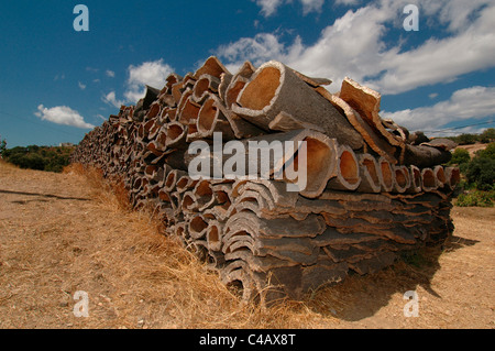 Chênes-lièges de Quercus suber arbre récolté dans la municipalité de Sao bras de Alportel dans le district de Faro en Algarve la région la plus méridionale du Portugal Banque D'Images