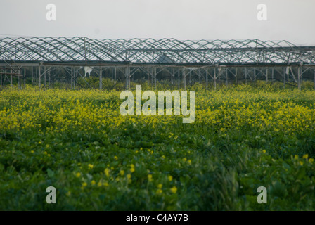 Tel Aviv est un beta + world city, aux côtés de villes comme Barcelone et San Francisco.[9] connu sous le nom de 'La Ville Qui Ne Dort Jamais", Banque D'Images