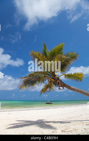 Zanzibar, plage d'Echo. Un bateau ancré au large les eaux calmes de la côte est de Zanzibar. Banque D'Images