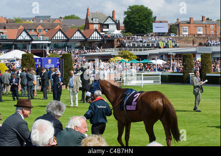 L'Angleterre, Cheshire, Chester. Des spectateurs à l'hippodrome de Chester Banque D'Images