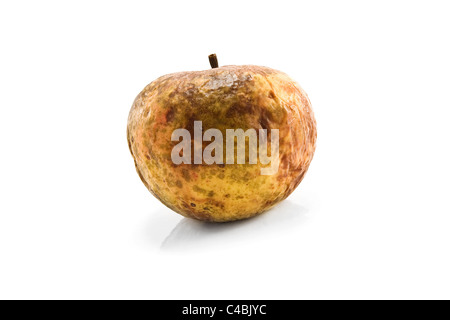 Pomme pourrie isolé sur fond blanc Banque D'Images