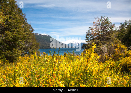 Lac Menendez, Los Alerces National Park est un parc national dans la province de Chubut, Argentine Banque D'Images