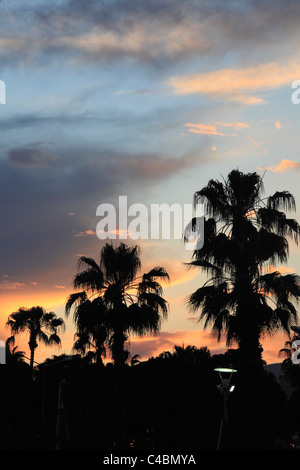 Turquie, Alanya, coucher de soleil, de palmiers, de ciel Banque D'Images