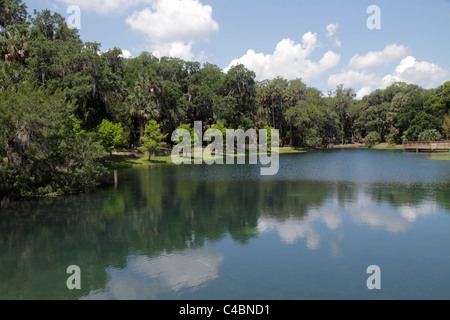 Florida Volusia County, Orange City, Blue Spring State Park, Spanish Moss, visiteurs voyage voyage visite touristique sites touristiques culture cultu Banque D'Images