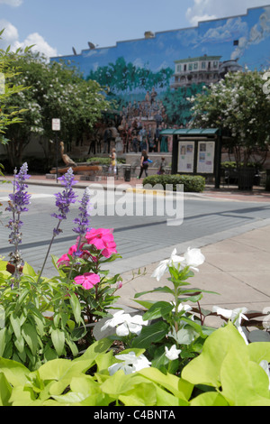 Deland Florida, Woodland Boulevard, centre-ville, rue principale, fleurs, murale, les visiteurs Voyage tourisme touristique repère culture Banque D'Images