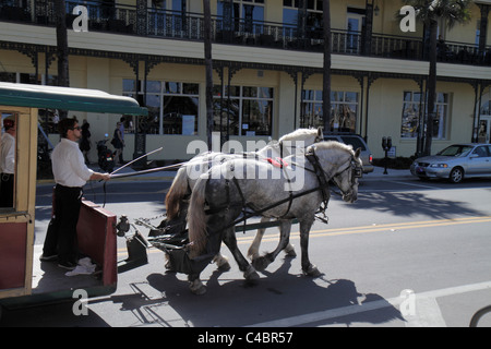 Saint Augustine Floride, Avenida Menendez, chevaux tiré chariot, les visiteurs voyage voyage tourisme touristique sites touristiques culture culte Banque D'Images