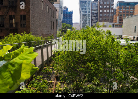 La phase deux de la Highline Park l'espace public dans la ville de New York, construite sur une des années 30 structure de fret ferroviaire ouvert Juin 2011 Banque D'Images