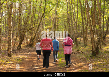 Balades en famille dans les bois à Pwllheli Heath , Suffolk , Angleterre , Angleterre , Royaume-Uni Banque D'Images